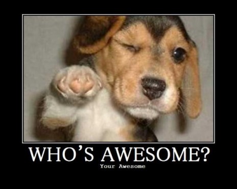 Whos awesome?