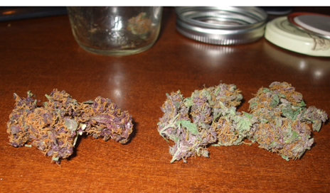 Purple Weed Pics