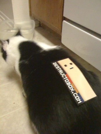 FREE DESTRUCTO BOX STICKERS!