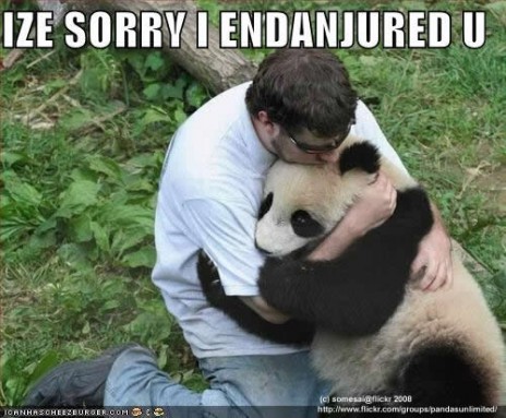 Its your fault I cant haz pet panda