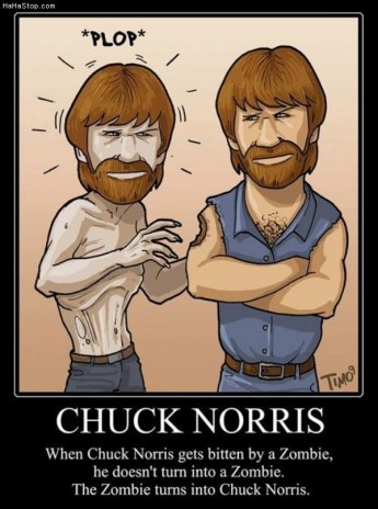 chuck norris pawns all!!!