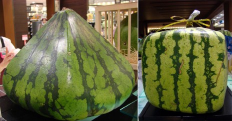 Watermelon Win!