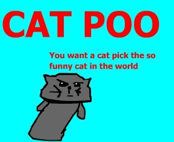 Cat POO