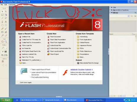 Fuck Flash