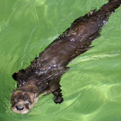 Lehigh Valley Zoo