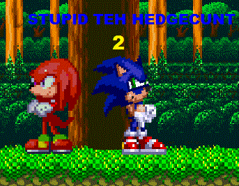 SONIC TEH HEDGECUNT 2