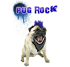 Pug Rock