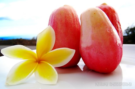 Mountain Apples are in Season now - Yummy!