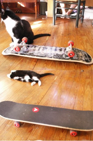herez mah skatebord...