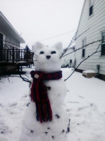 Kitty Cat Snowman!