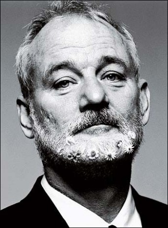 Bill Murray Week!