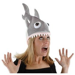 I mean, it's a shark hat