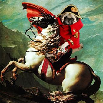 The revenge of the pug!