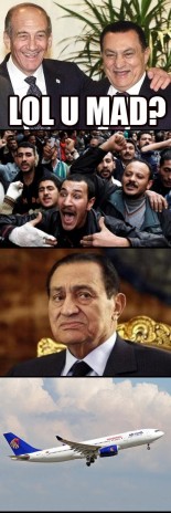 The Egyptian Revolution