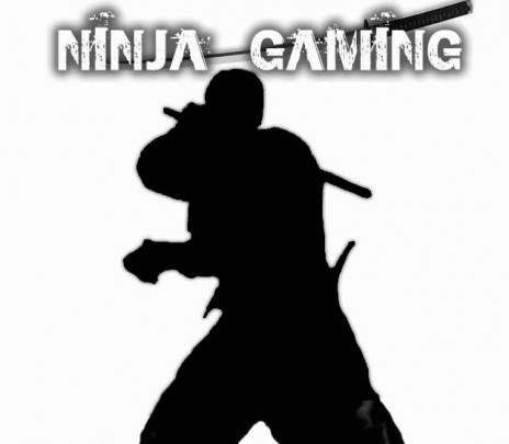 GAHHHH Check out NINJA GAMING