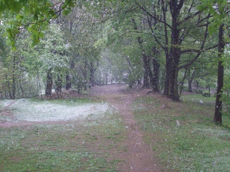 Snow. In may.