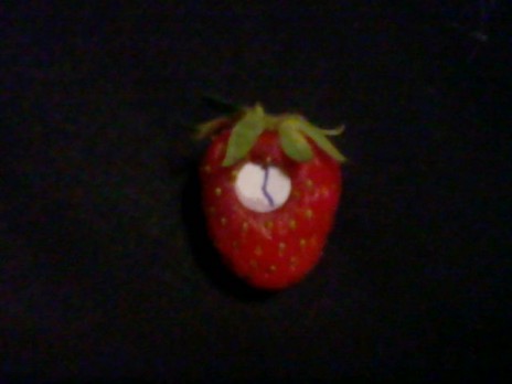 The epic story of StrawberryClock!