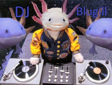 DjBlugill