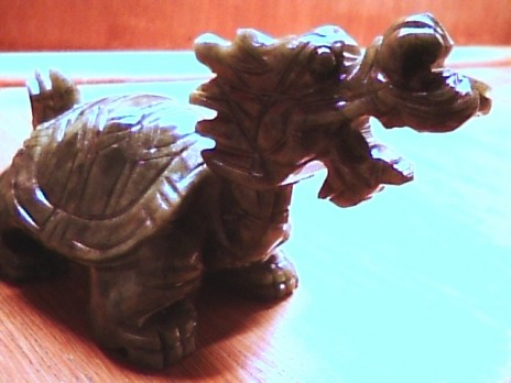 dragon dragon dragon! turtle turtle turtle!