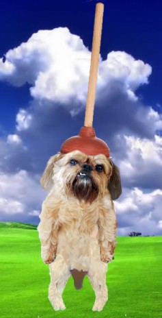 Plunger-Dog