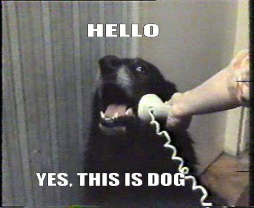 Hello?