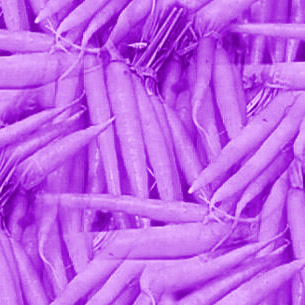 Purple Carrotland