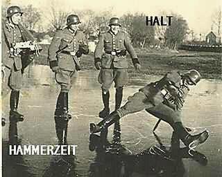 Halt