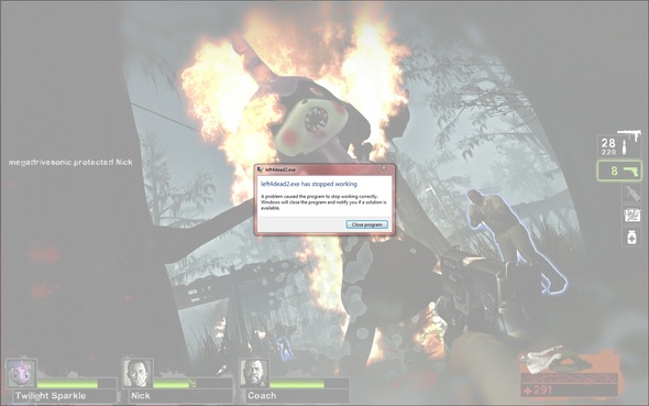 Witch Amy On Fire Caused L4d2 To Crash