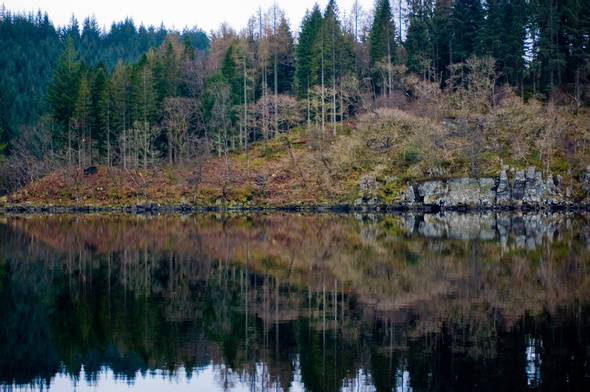 [PIC] Beautiful symmetry on a lake in Scotland