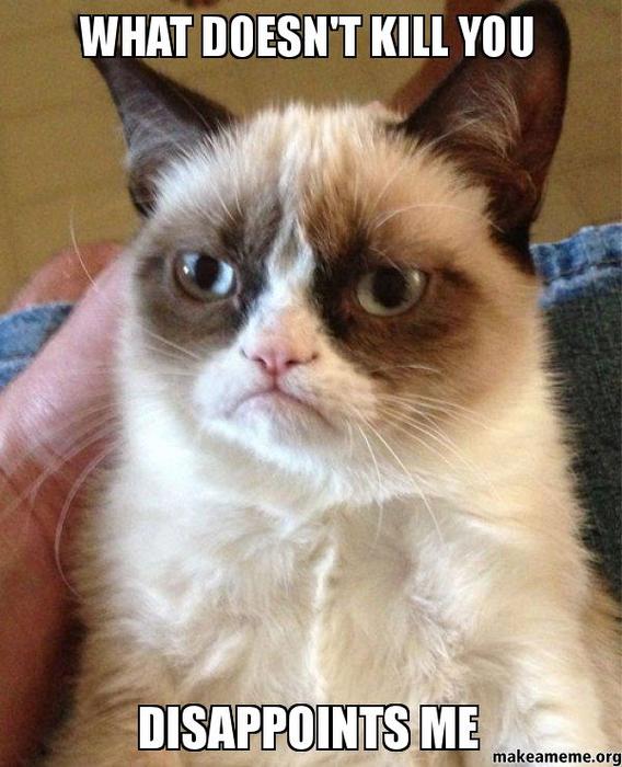 Who does Grumpy Cat sound like?