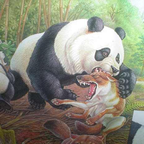 Fuck Pandas