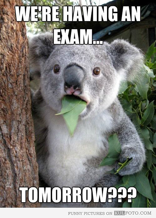 Last final exam tomorrow! 