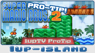 SMB2: Pro Tip!!! (for hardcore gamers)