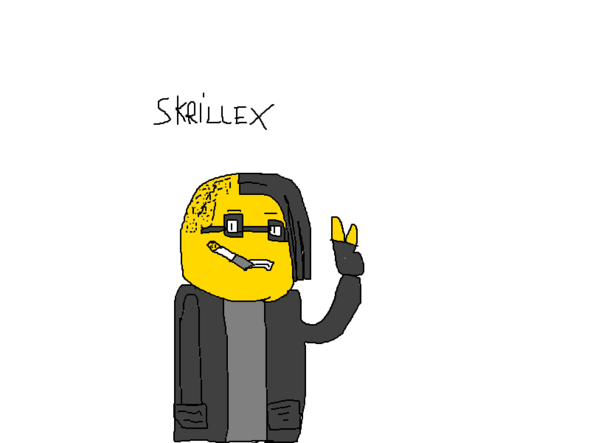 Its The Skrillex The DJ