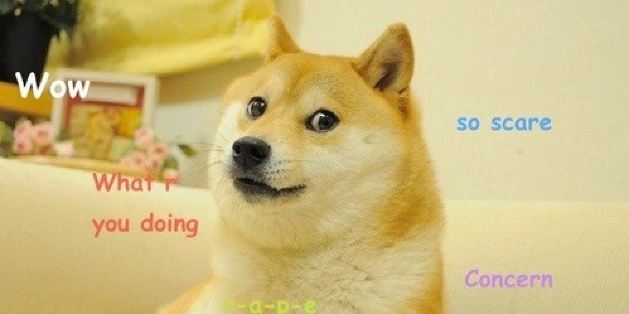 3125863_138790396693_o-DOGE-facebook.jpg