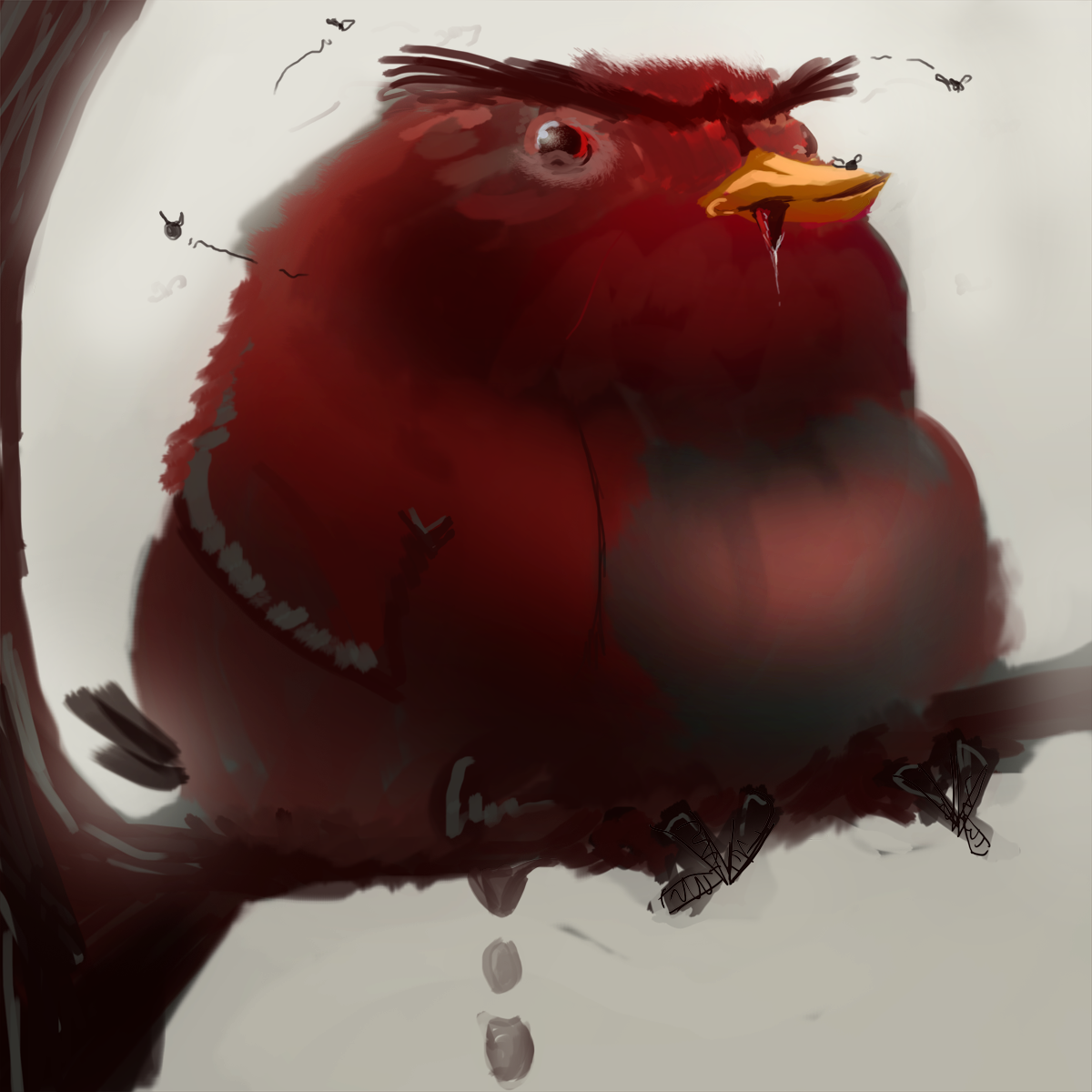 3063084_138810292942_boringuglyangrybird.png