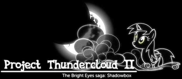 2516237_139955093421_thundercloud2logo.png