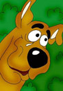 1284367_140504997351_scoob.jpg