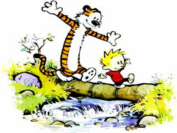 5009006_140684057983_remembering-the-childhood-calvin-and-hobbes14.jpg