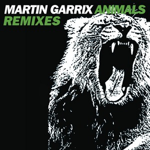 3974058_140838586282_Martin-Garrix-Animals--Remixes-.jpg