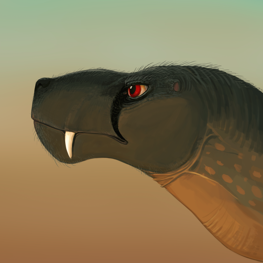 Lycaenops