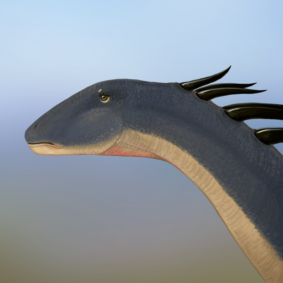 Amargasaurus