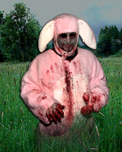 5113754_141307148882_bunny.jpg