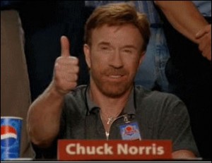 4830520_141439247191_Chuck_norris_approved.jpg