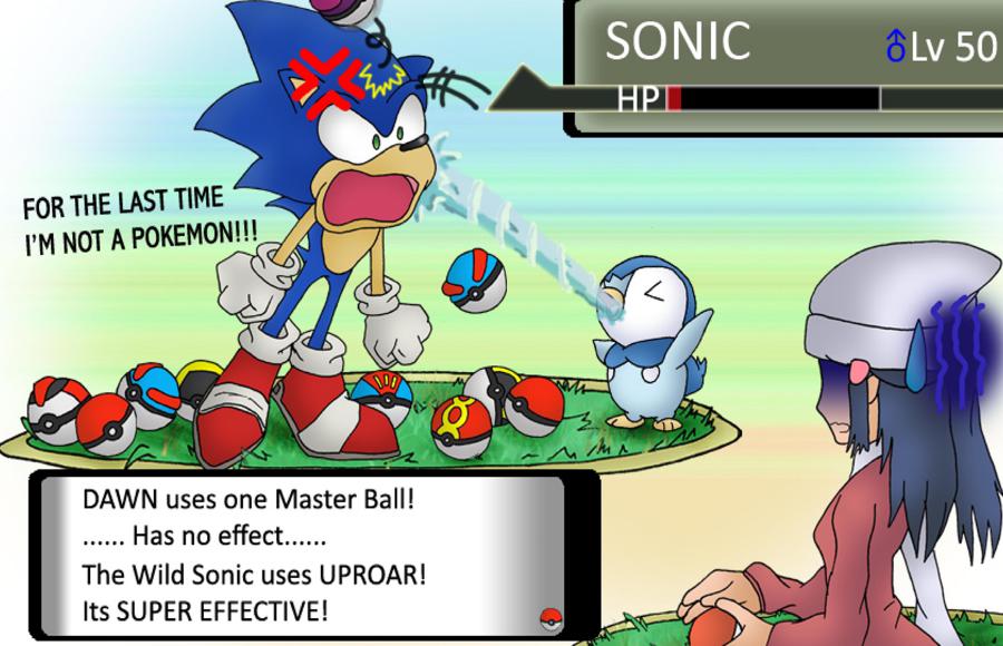 5009006_141496186372_Sonic-In-A-Pokemon-Game-sonic-the-hedgehog-16180478-25.jpg