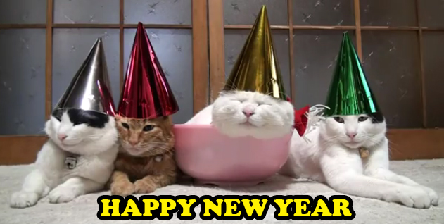 4118967_142017698593_HAPPY-NEW-YEAR-CATS-in-cute-kitty-hats.jpg