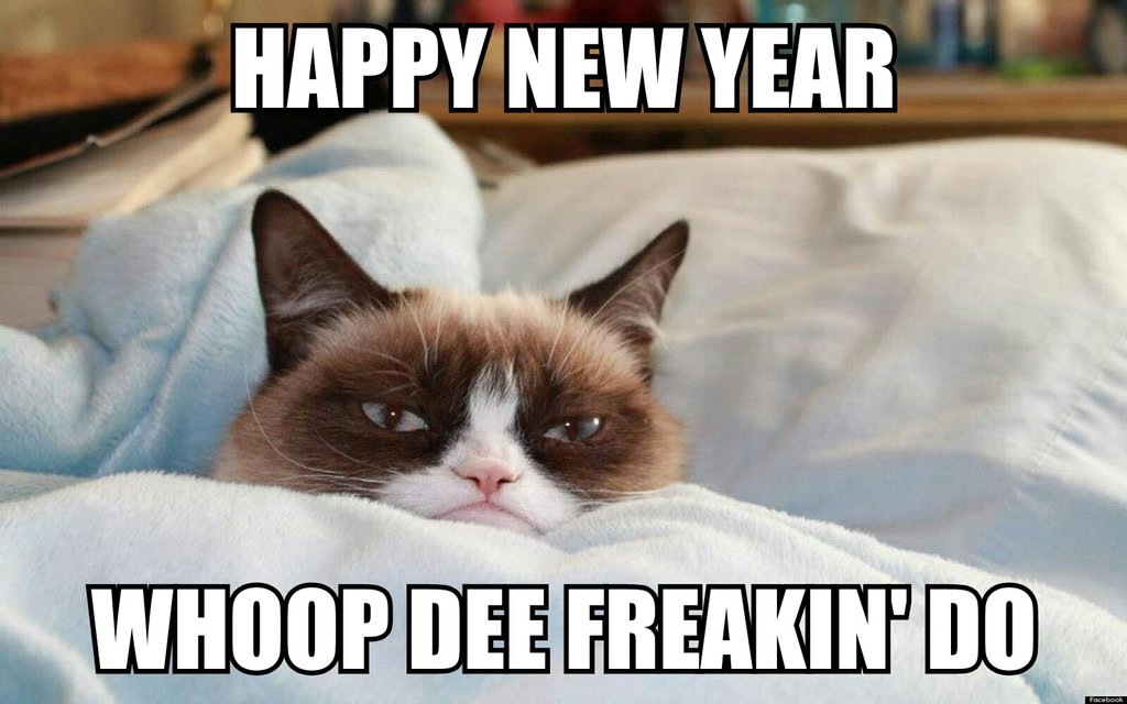 4118967_142017714612_the_grumpy_cat__happy_new_year_____d_by_cartoonrockfan.jpg