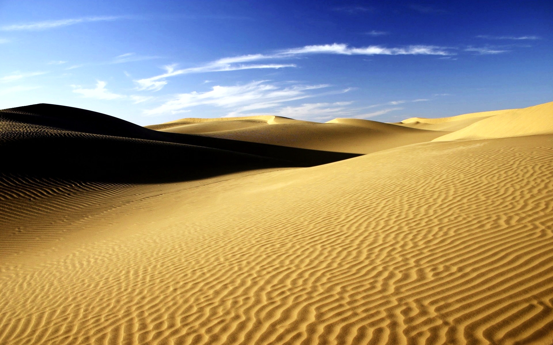 5009006_143050457021_Sahara-Desert-Wallpaper-3.jpg