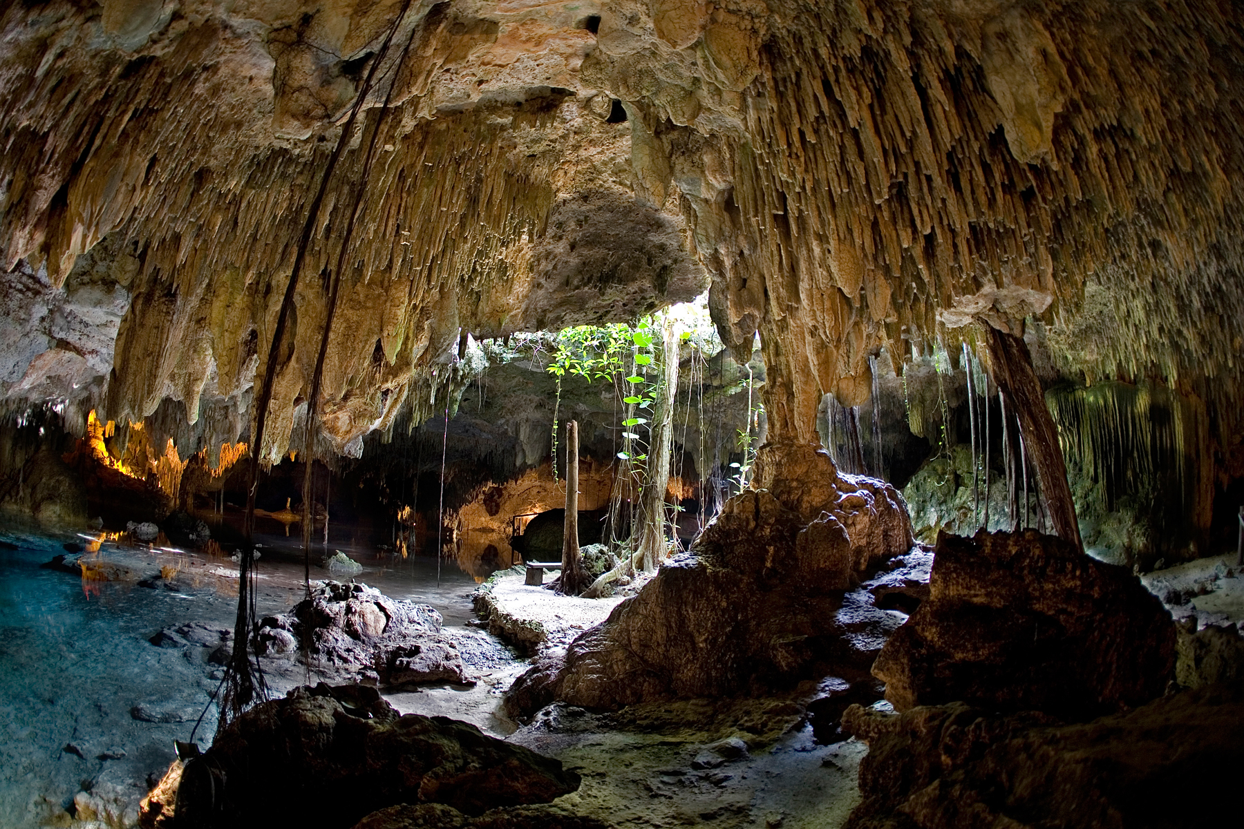 5009006_143066327383_Caverns-Snorkel-1-1.jpg