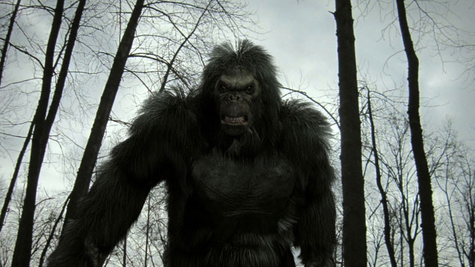 5009006_143068241761_Bigfoot.jpg